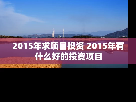 2015年求项目投资 2015年有什么好的投资项目