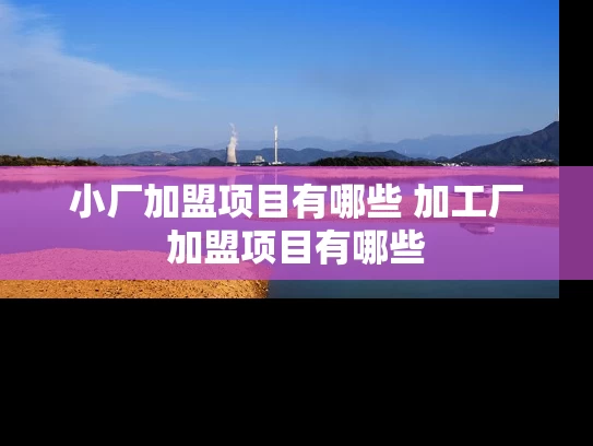 小厂加盟项目有哪些 加工厂加盟项目有哪些