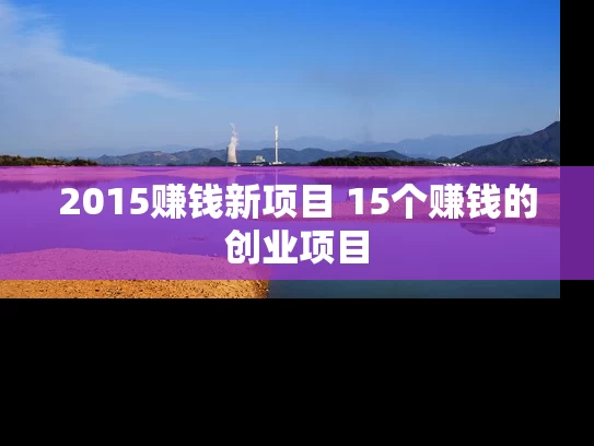 2015赚钱新项目 15个赚钱的创业项目
