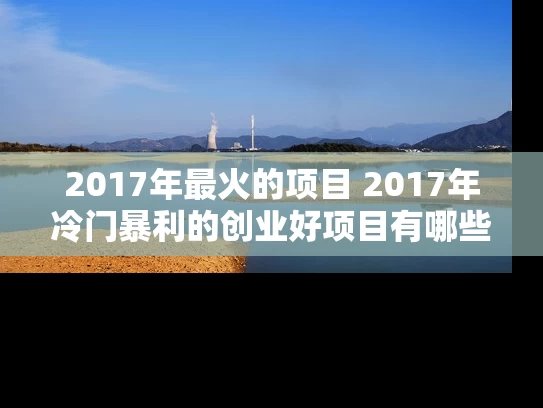 2017年最火的项目 2017年冷门暴利的创业好项目有哪些