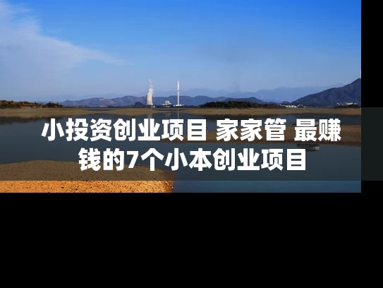 小投资创业项目 家家管 最赚钱的7个小本创业项目