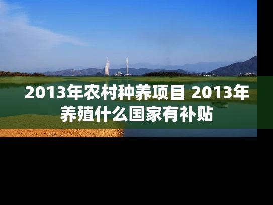 2013年农村种养项目 2013年养殖什么国家有补贴