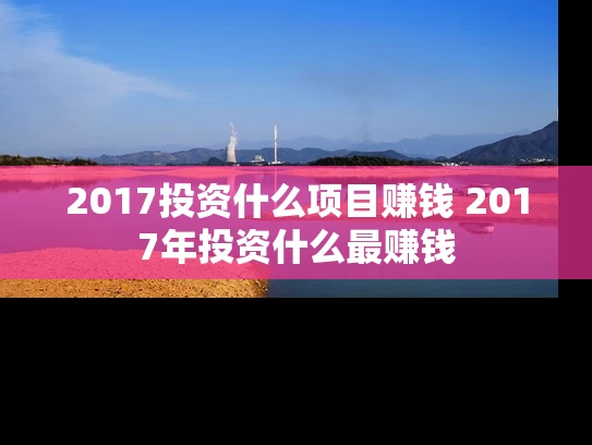 2017投资什么项目赚钱 2017年投资什么最赚钱