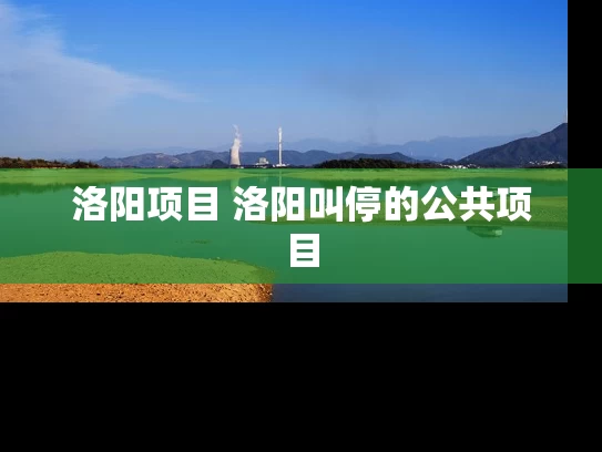 洛阳项目 洛阳叫停的公共项目