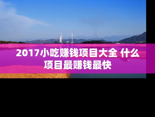 2017小吃赚钱项目大全 什么项目最赚钱最快