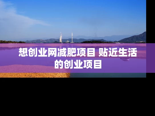 想创业网减肥项目 贴近生活的创业项目