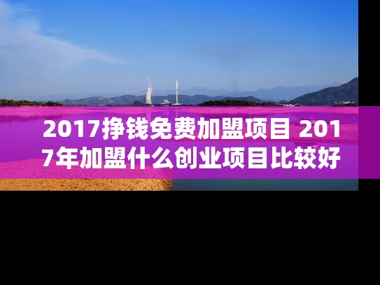 2017挣钱免费加盟项目 2017年加盟什么创业项目比较好