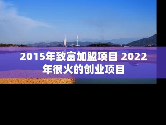 2015年致富加盟项目 2022年很火的创业项目