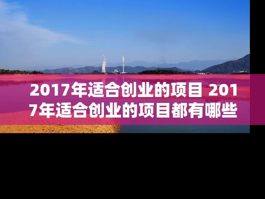 2017年适合创业的项目 2017年适合创业的项目都有哪些