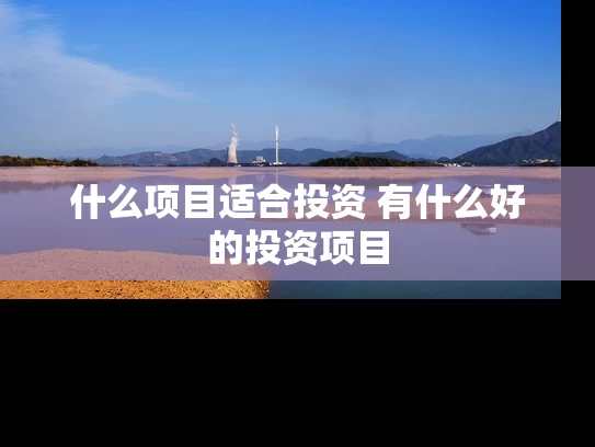 什么项目适合投资 有什么好的投资项目