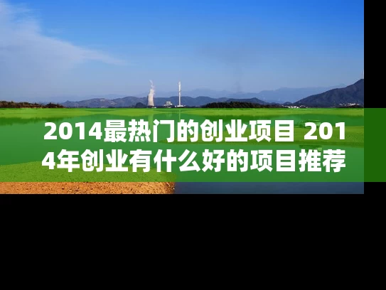 2014最热门的创业项目 2014年创业有什么好的项目推荐吗