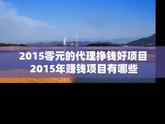 2015零元的代理挣钱好项目 2015年赚钱项目有哪些