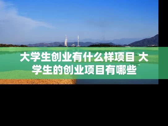 大学生创业有什么样项目 大学生的创业项目有哪些