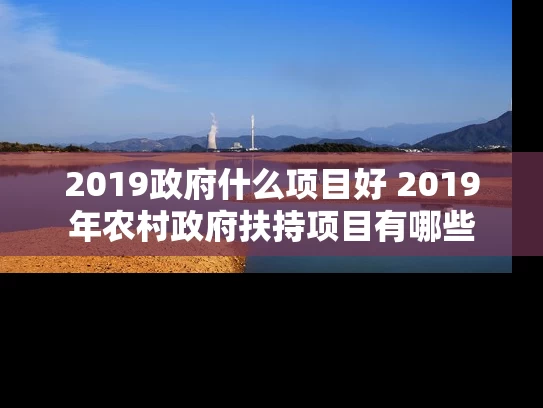 2019政府什么项目好 2019年农村政府扶持项目有哪些