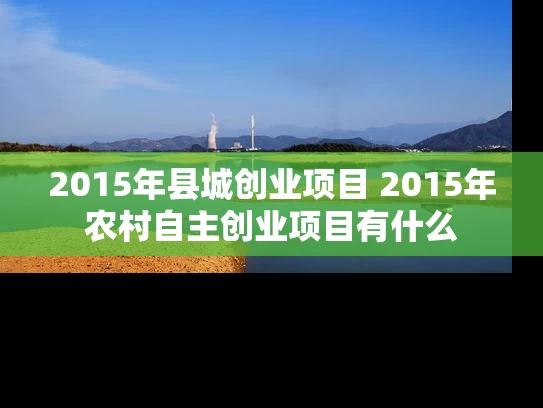 2015年县城创业项目 2015年农村自主创业项目有什么