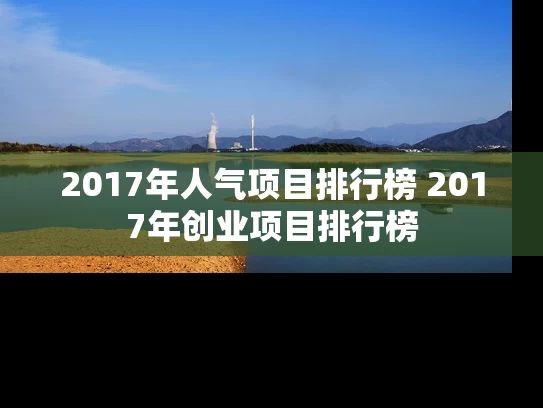 2017年人气项目排行榜 2017年创业项目排行榜