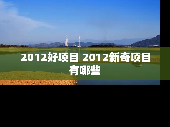2012好项目 2012新奇项目有哪些
