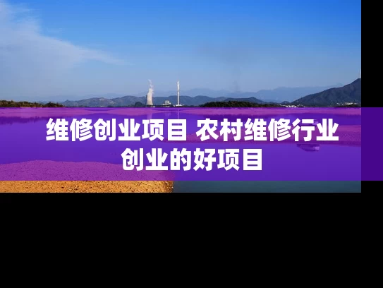 维修创业项目 农村维修行业创业的好项目