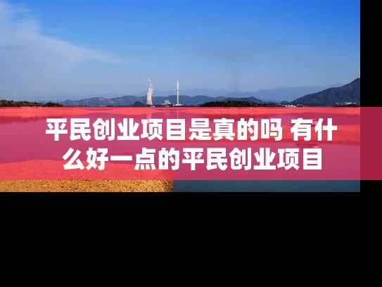 平民创业项目是真的吗 有什么好一点的平民创业项目