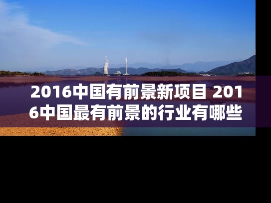2016中国有前景新项目 2016中国最有前景的行业有哪些