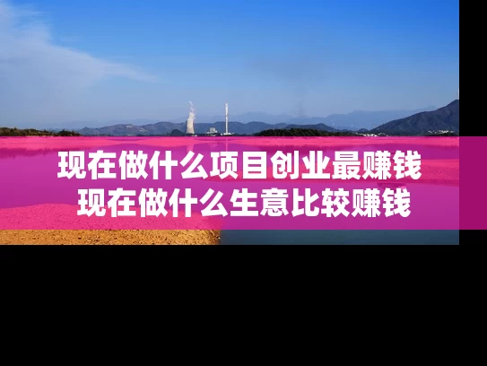 现在做什么项目创业最赚钱 现在做什么生意比较赚钱