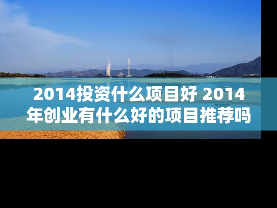 2014投资什么项目好 2014年创业有什么好的项目推荐吗