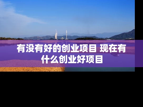 有没有好的创业项目 现在有什么创业好项目