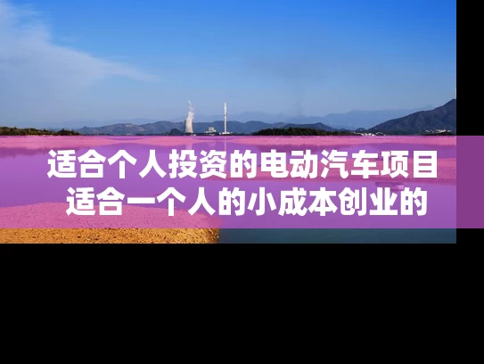 适合个人投资的电动汽车项目 适合一个人的小成本创业的项目有哪些