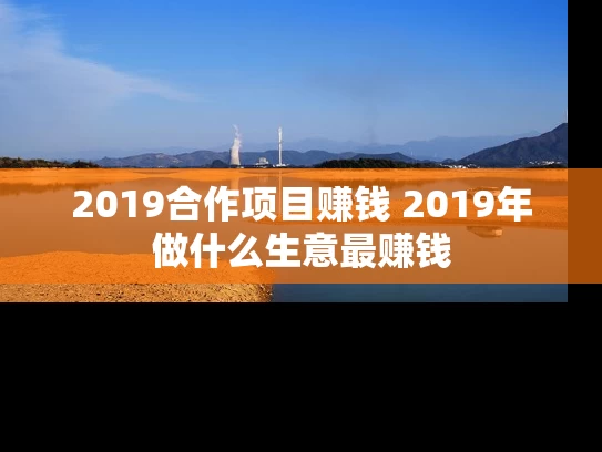 2019合作项目赚钱 2019年做什么生意最赚钱