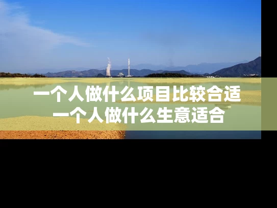 一个人做什么项目比较合适 一个人做什么生意适合