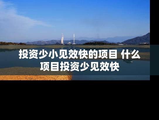 投资少小见效快的项目 什么项目投资少见效快