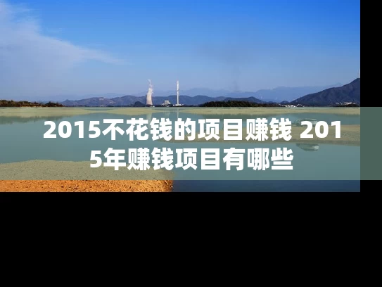 2015不花钱的项目赚钱 2015年赚钱项目有哪些