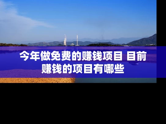 今年做免费的赚钱项目 目前赚钱的项目有哪些
