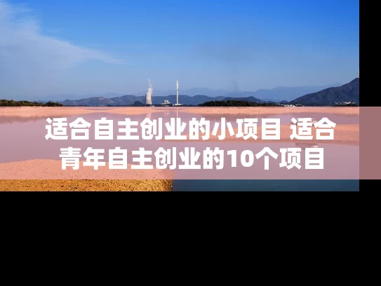 适合自主创业的小项目 适合青年自主创业的10个项目