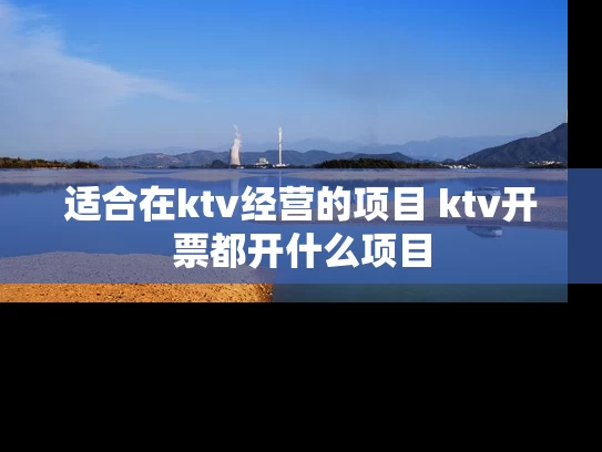 适合在ktv经营的项目 ktv开票都开什么项目