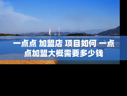 一点点 加盟店 项目如何 一点点加盟大概需要多少钱
