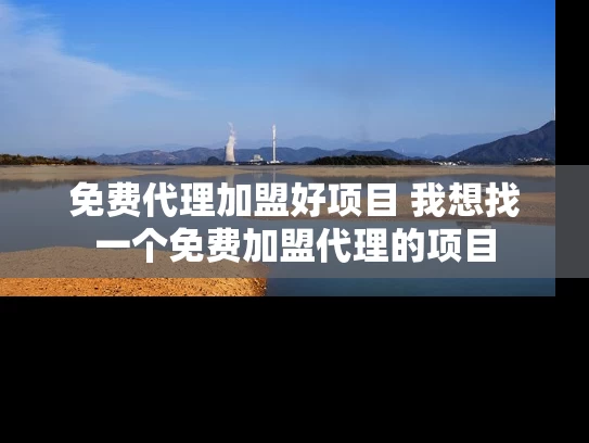 免费代理加盟好项目 我想找一个免费加盟代理的项目