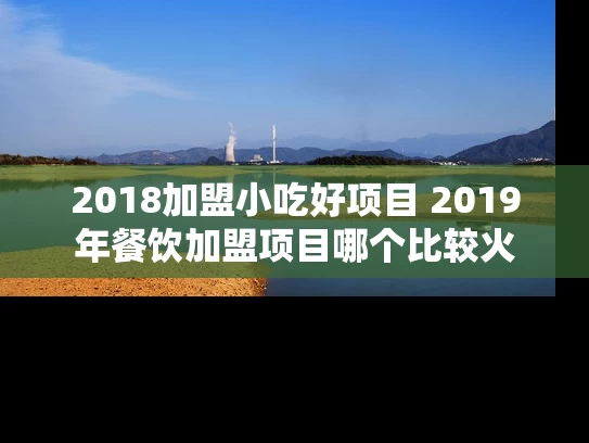 2018加盟小吃好项目 2019年餐饮加盟项目哪个比较火