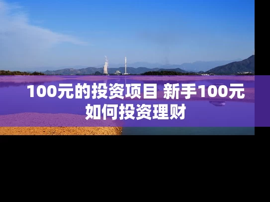 100元的投资项目 新手100元如何投资理财