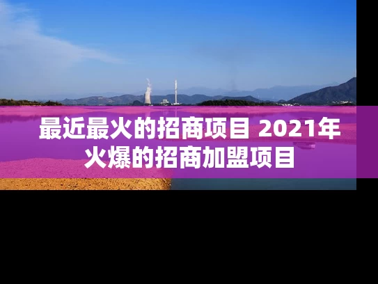 最近最火的招商项目 2021年火爆的招商加盟项目