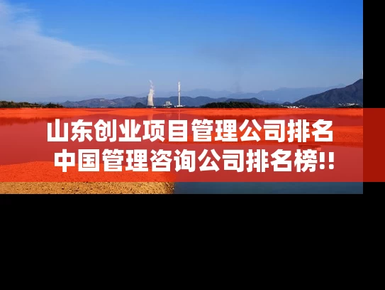 山东创业项目管理公司排名 中国管理咨询公司排名榜!!