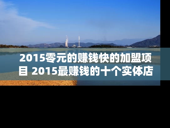 2015零元的赚钱快的加盟项目 2015最赚钱的十个实体店项目