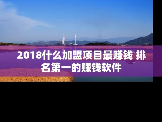 2018什么加盟项目最赚钱 排名第一的赚钱软件