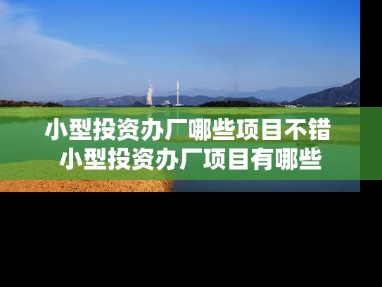 小型投资办厂哪些项目不错 小型投资办厂项目有哪些