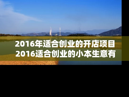 2016年适合创业的开店项目 2016适合创业的小本生意有哪些