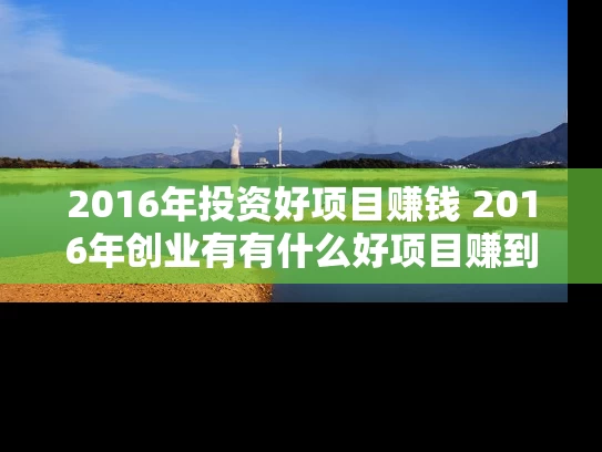 2016年投资好项目赚钱 2016年创业有有什么好项目赚到钱