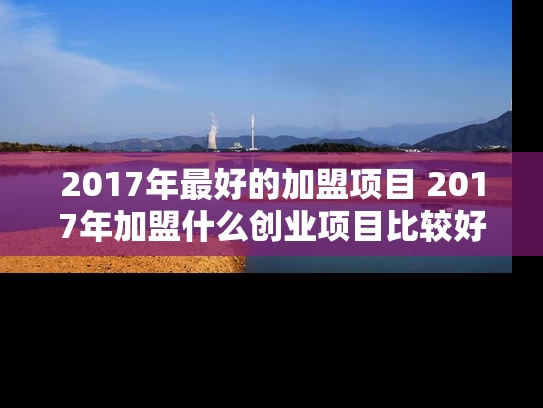 2017年最好的加盟项目 2017年加盟什么创业项目比较好