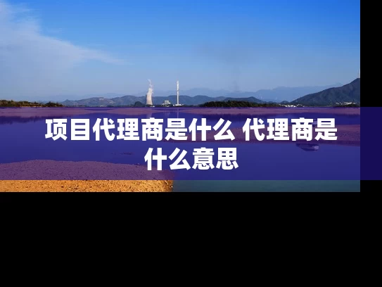 项目代理商是什么 代理商是什么意思