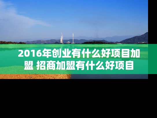 2016年创业有什么好项目加盟 招商加盟有什么好项目