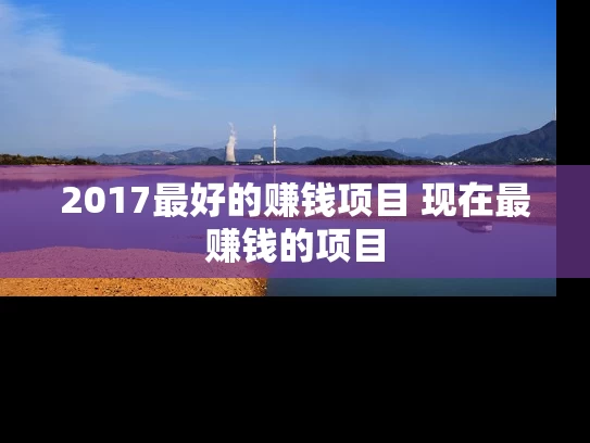 2017最好的赚钱项目 现在最赚钱的项目